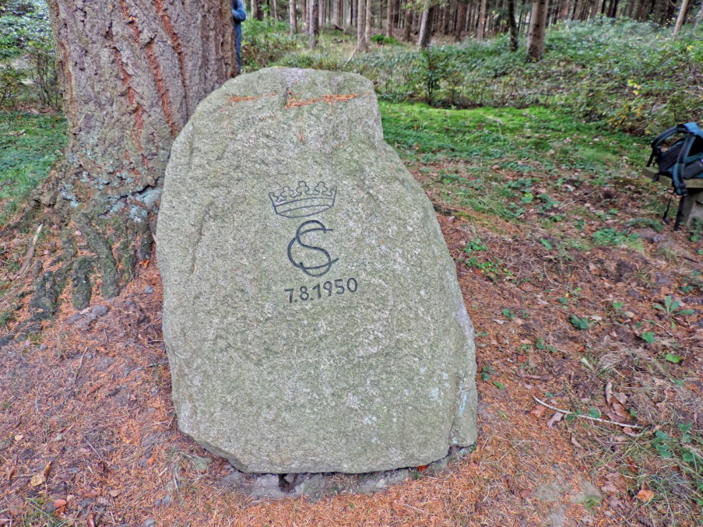 Bentheimerwald [11586] 19-okt-2014 (Bentheimerwald, Bad Bentheim).jpg - Bentheimerwald